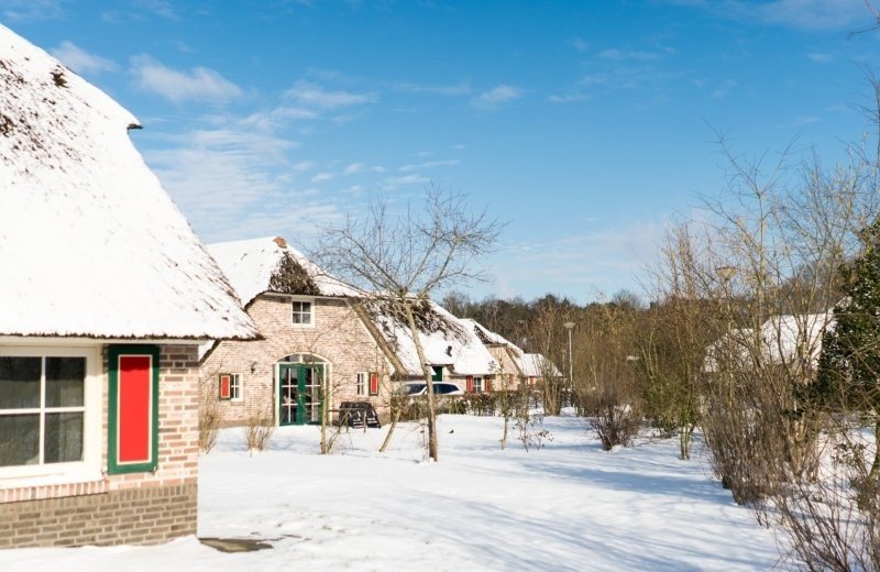 Feuerwerksfreie Ferien mit Ihrem Hund